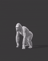 Run Leap Over