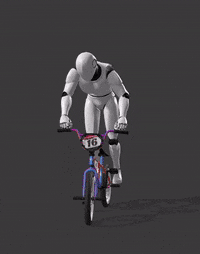 Seat Wheelie