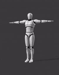 T Pose