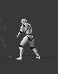 W05-Flying Roundhouse Kick