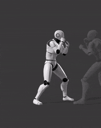 W12-Hip Throw