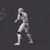 W13-Punch & Side Kick
