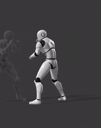 W13-Punch & Side Kick