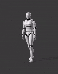 Walk - Inspection