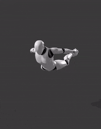 Wingsuit Flying_Loop